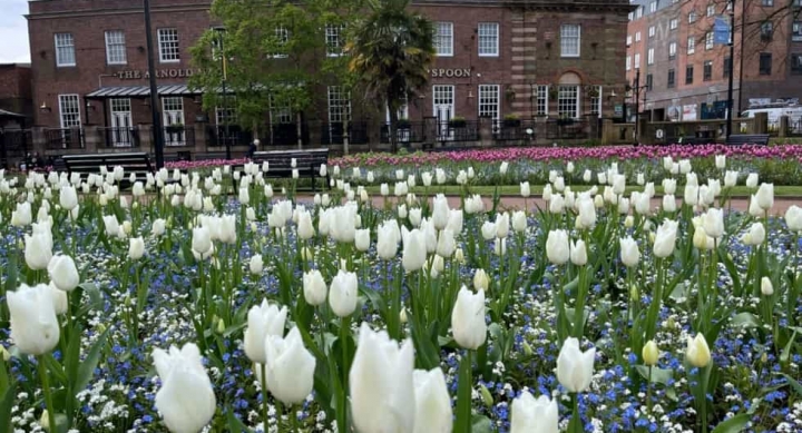 Queens Gardens - Newcastle Under Lyme